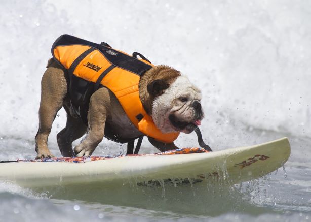 Why Don't Surfers Wear Life Jackets